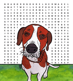 Hondensoorten puzzel