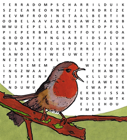 Vogelsoorten puzzel