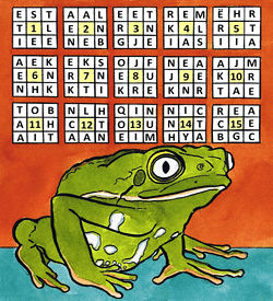 Kikker Kermit puzzel