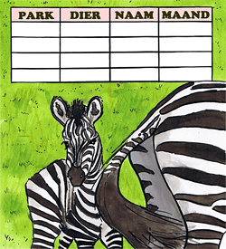 Zebra jonge dieren dierentuin puzzel
